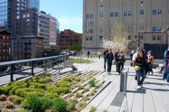 USA - New York - The High Line