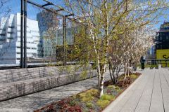 USA - New York - The High Line