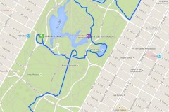 The Central Park Walk