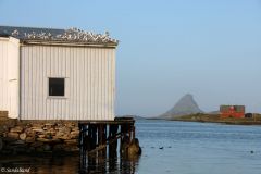 Nordland - Røst