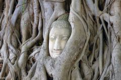 Thailand - Ayutthaya - Wat Mahathat