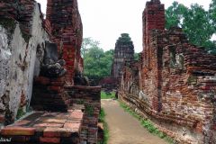 Thailand - Ayutthaya - Wat Mahathat