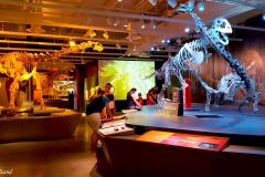 Canada - Ottawa - Museum of Nature