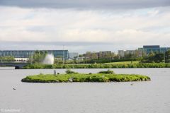 Iceland - Reykjavik - Tjörnin