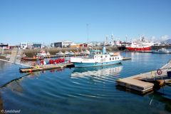 Iceland - Reykjavik - Old Harbour