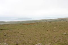 Iceland - Golden Circle - Thingvallavatn