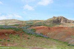 Iceland - Golden Circle - Geysir