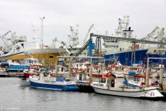 Iceland - Akranes