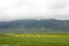 Iceland - Snæfellsnes - Stadastadur