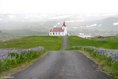 Iceland - Snæfellsnes - Ingjaldshólskirkja