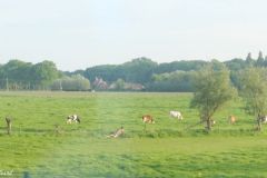 Belgium