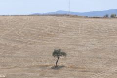 Italy - Toscana - Val d'Orcia