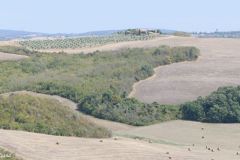 Italy - Toscana - Val d'Orcia