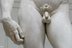 Italy - Toscana - Firenze - Galleria dell'Accademia - David (Michelangelo, 1504)