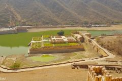India - Jaipur - Amer Fort - Maotha Lake