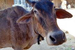 India - Agra