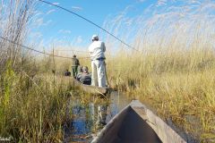 Botswana - Okavango Delta