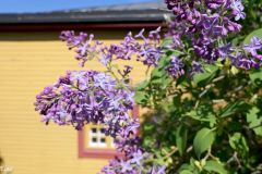 Finland - Helsinki - Suomenlinna (Sveaborg)