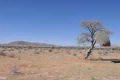 Namibia - Road M47