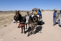 Namibia - Road M47