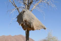 Namibia - Road C19