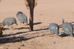 Namibia - Sesriem - Sesriem Campsite