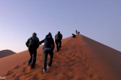 Namibia - Sesriem - Dune 45
