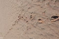 Namibia - Sesriem