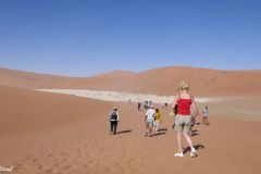Namibia - Sesriem - Deadvlei