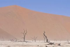 Namibia - Sesriem - Deadvlei
