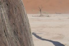 Namibia - Sesriem - Deadvlei