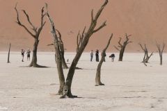Namibia - Sesriem - Deadvlei