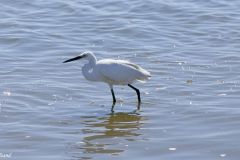 Namibia - Walvis Bay