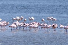 Namibia - Walvis Bay