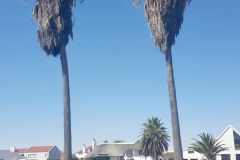 Namibia - Walvis Bay