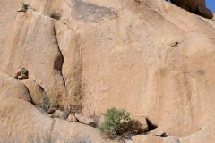 Namibia - Spitzkoppe - Tent Camp