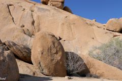 Namibia - Spitzkoppe - Tent Camp
