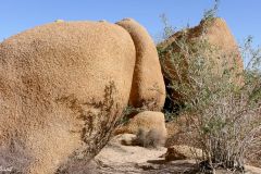 Namibia - Spitzkoppe - Tent Camp