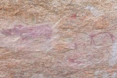 Namibia - Spitzkoppe - Tent Camp - Small Bushman Paradise