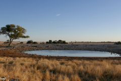 Namibia - Etosha National Park - Okaukuejo Camp - Waterhole