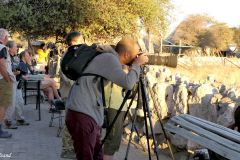Namibia - Etosha National Park - Okaukuejo Camp - Waterhole