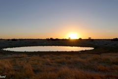 Namibia - Etosha National Park - Okaukuejo Camp - Waterhole