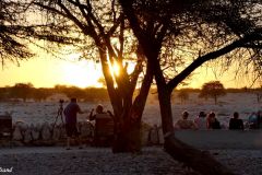 Namibia - Etosha National Park - Okaukuejo Camp - Waterhole