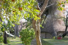 Namibia - Rundu - Nkwazi Lodge And Camping Site
