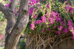 Namibia - Rundu - Nkwazi Lodge And Camping Site