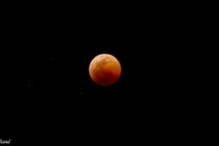 Namibia - Rundu - Nkwazi Lodge And Camping Site - Total Lunar Eclipse