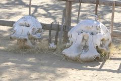 Namibia - Road C48