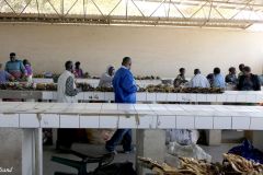 Namibia - Katima Mulilo