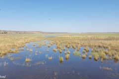 Namibia - Cuando River - Ngoma Bridge