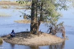 Namibia - Cuando River - Ngoma Bridge